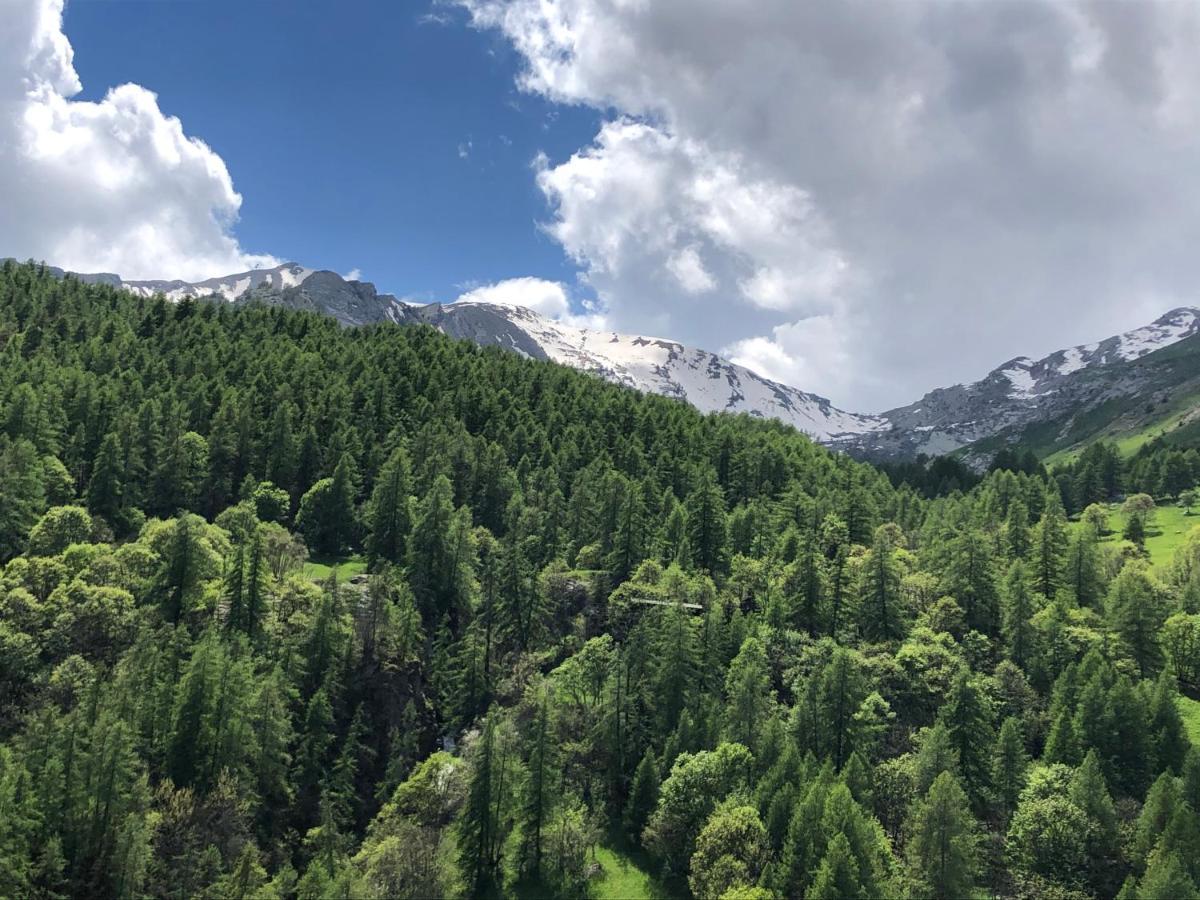 Foux D'Allos - Appartement Charmant Et Fonctionnel Eksteriør bilde